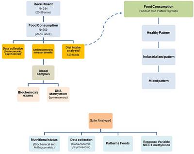 An industrialized diet as a determinant of methylation in the 1F region of the NR3C1 gene promoter